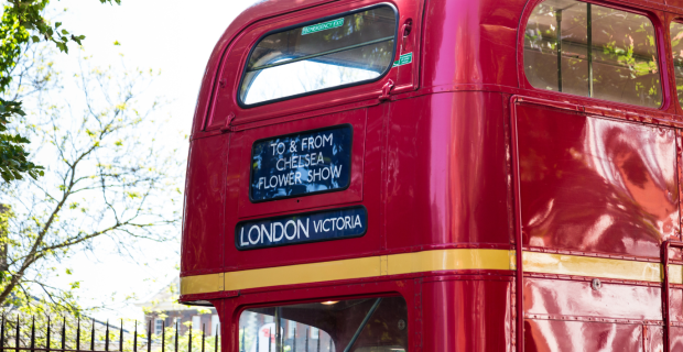 Chelsea Flower Show 2025: How a Same Day Courier Can Help Exhibitors