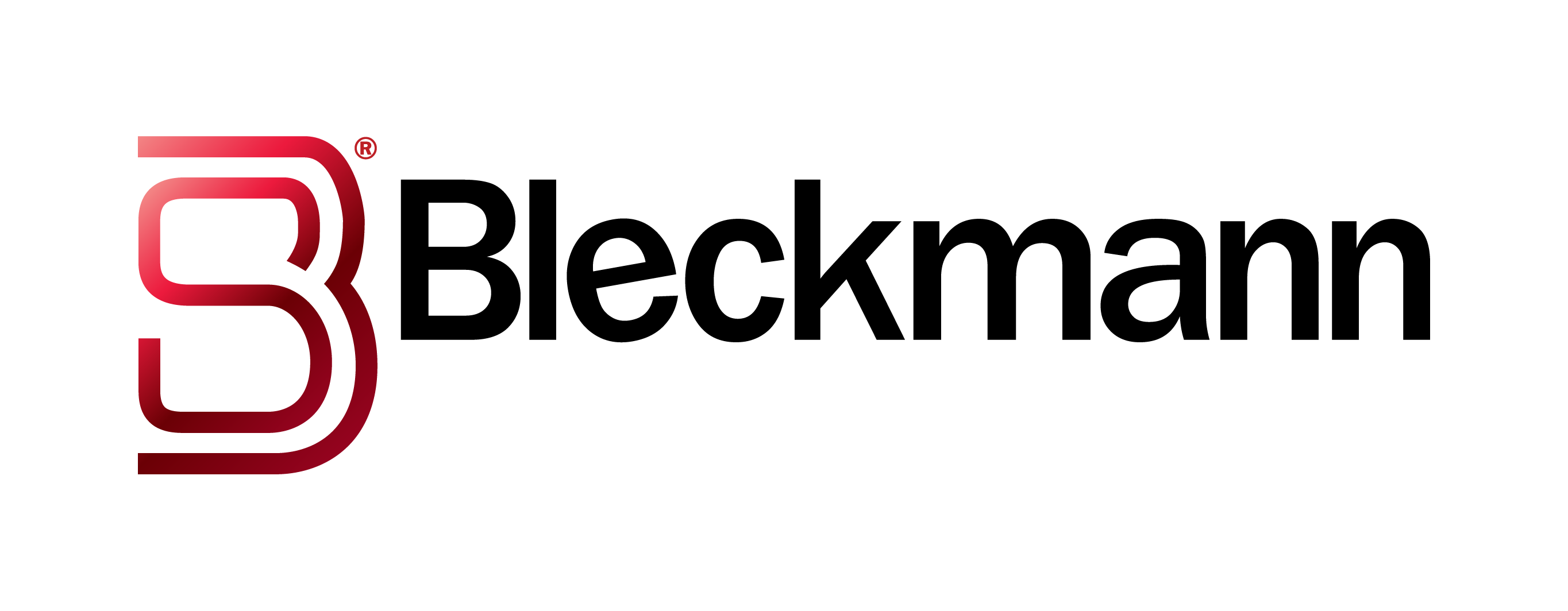 bleckmann logo