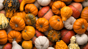 a pile of pumpkins ready to be picked up by a Halloween event courier