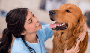 Veterinary